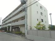 マンション 兵庫県尼崎市水堂町三丁目　２９番地２