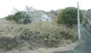 土地 兵庫県川辺郡猪名川町木津字東山６５番６６