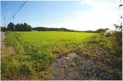 土地 青森県上北郡東北町字横沢山５４番