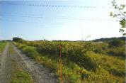 土地 青森県上北郡七戸町字舟場向川久保１９４番１