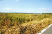 土地 青森県上北郡七戸町字舟場向川久保７８３番２