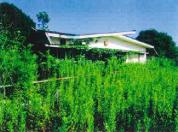 土地建物 千葉県鴨川市浜荻字西山際１１７８番地、１１７４番地１