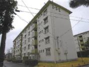 マンション 千葉県船橋市金杉台二丁目２番地１