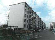 マンション 福岡県糟屋郡粕屋町大字内橋字ヲベタ１９７番地１