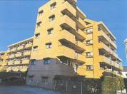 マンション 埼玉県