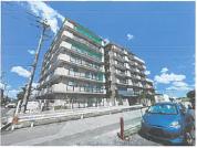 マンション 埼玉県川越市大字南田島字北田　８５４番地１