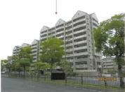 マンション 大阪府和泉市いぶき野三丁目５番地１