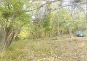 土地 山梨県南都留郡山中湖村平野字宮脇１７９５番