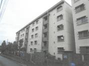 マンション 神奈川県