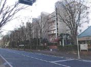 マンション 千葉県