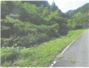 土地 茨城県常陸大宮市久隆字シノサキ２９５番１