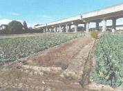 土地 茨城県水戸市吉沼町字荒地１８６９番３