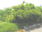 土地 茨城県