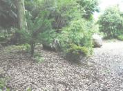 土地 茨城県行方市南字八石６９番２