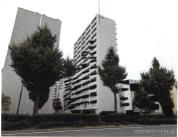 マンション 愛知県名古屋市東区葵一丁目　１００２番地