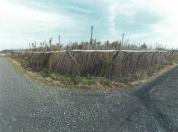 土地 新潟県新潟市南区大郷字潟向４６２４番２