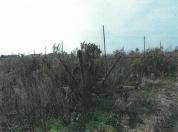 土地 新潟県新潟市南区大郷字潟向４６３２番