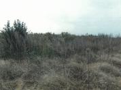 土地 新潟県新潟市南区大郷字宮浦４７２５番