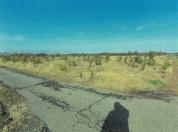 土地 新潟県新潟市南区大郷字潟向４５５３番１