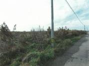 土地 新潟県新潟市南区大郷字潟向４５６７番