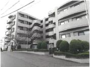 マンション 新潟県