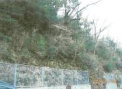 土地 静岡県伊東市宇佐美字沼ノ山３２２６番５０８