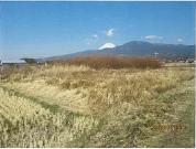 土地 静岡県沼津市東原字長通１２番１