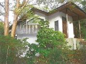 土地建物 静岡県