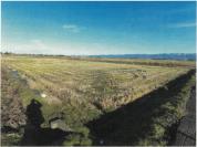 土地 新潟県長岡市深沢町字北野１０６６番１