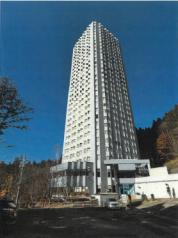 マンション 新潟県南魚沼郡湯沢町大字三国字上ノ山３０４番地２