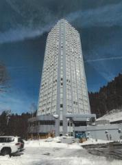 マンション 新潟県南魚沼郡湯沢町大字三国字上ノ山３０４番地２