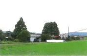土地建物 福岡県宮若市沼口字福礼９１７番地、９１６番地１、９１６番地２