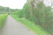 土地 神奈川県南足柄市関本字北耕地９４番１