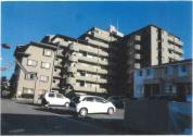 マンション 愛知県岡崎市戸崎町字藤狭　８番地１０