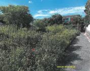 土地建物 大阪府