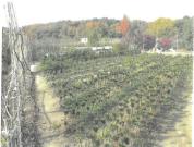 土地 大阪府池田市東山町７２７番１