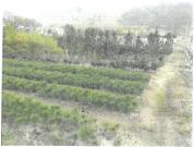 土地 大阪府池田市東山町７３０番