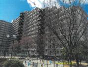マンション 大阪府東大阪市西岩田二丁目２３１番地１
