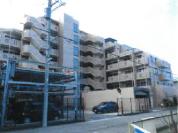 マンション 埼玉県