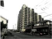 マンション 埼玉県