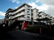 マンション 埼玉県さいたま市南区内谷七丁目　５２５番地