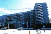 マンション 埼玉県和光市南一丁目　２３８６番地１