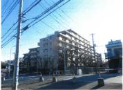 マンション 埼玉県さいたま市見沼区大字風渡野字新川西　７８番地１