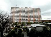 マンション 埼玉県川口市八幡木三丁目　７番地１