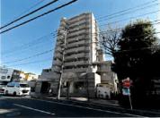 マンション 埼玉県川口市大字安行領根岸字鹿島　１１９７番地１