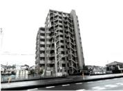 マンション 埼玉県さいたま市緑区山崎一丁目　９７番地１、９５番地１、９８番地１