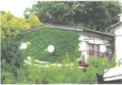 土地建物 埼玉県新座市野寺三丁目　５３７番地１０
