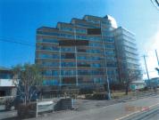 マンション 大阪府大阪狭山市東茱萸木一丁目５３２番地１