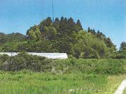 土地 宮城県宮城郡松島町櫻渡戸字舘ケ沢４７番