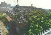 土地建物 宮城県